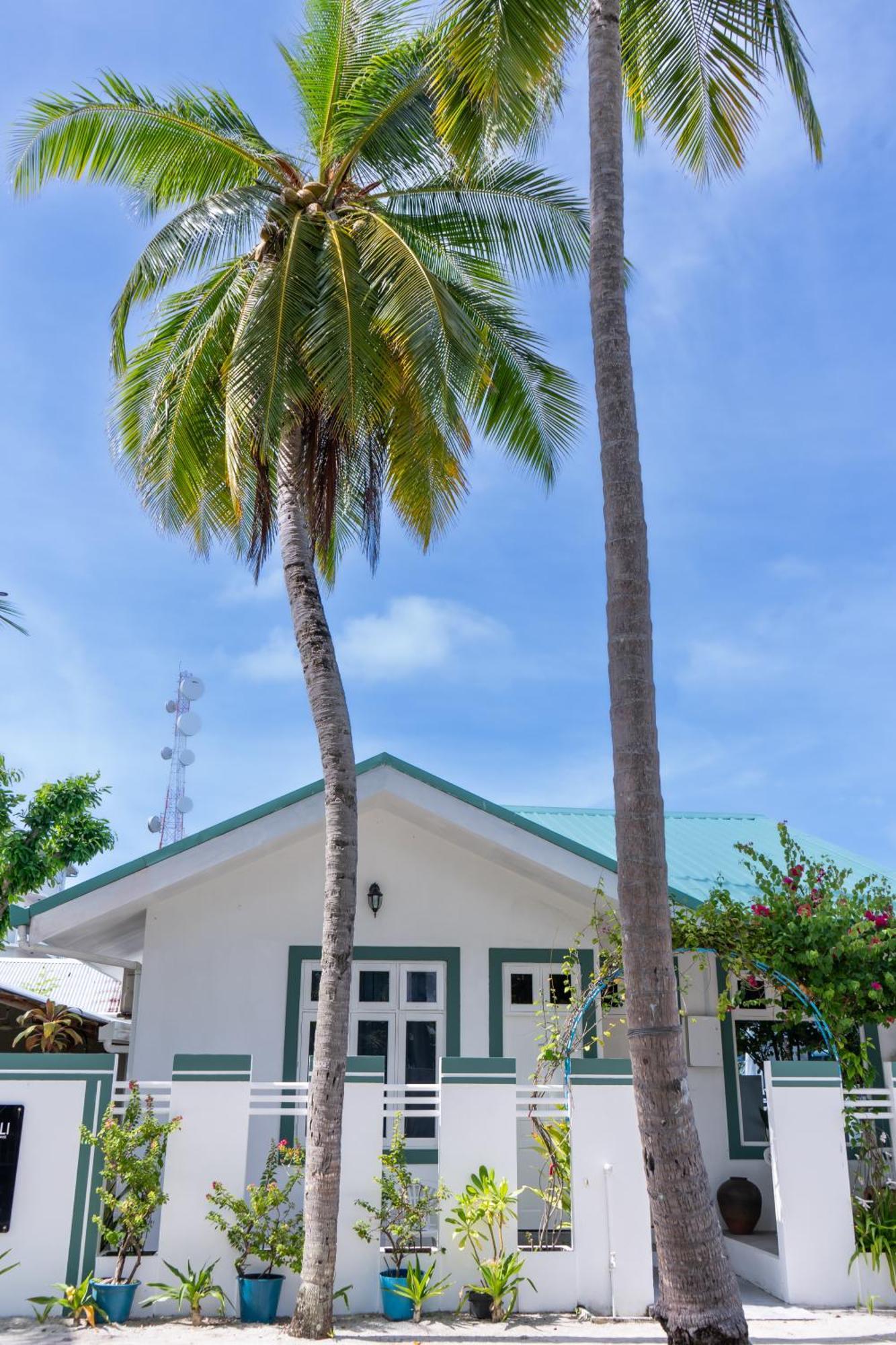Vaali Maldives Island Escapes & Dive Hotel Felidhoo Bagian luar foto