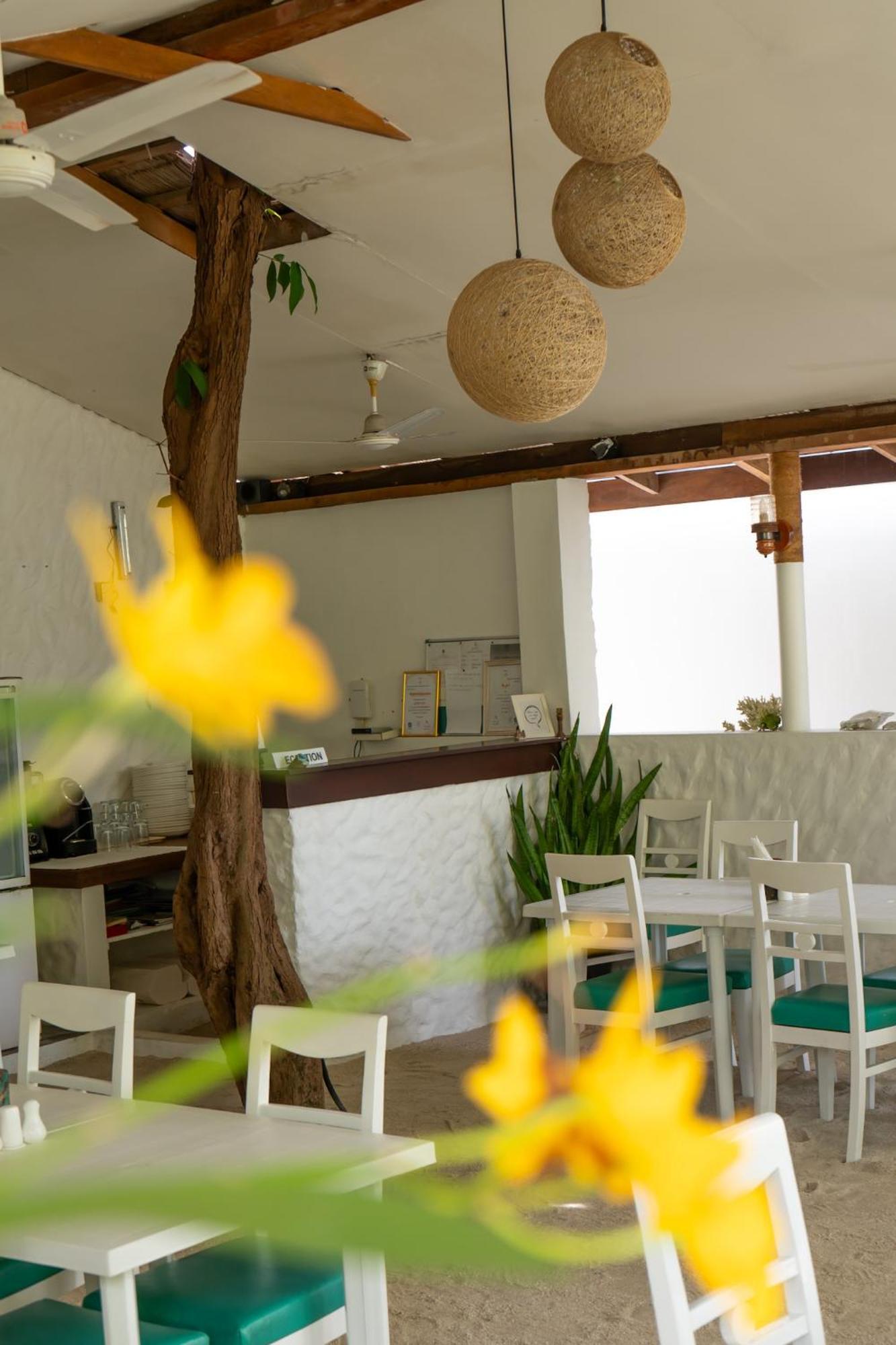 Vaali Maldives Island Escapes & Dive Hotel Felidhoo Bagian luar foto